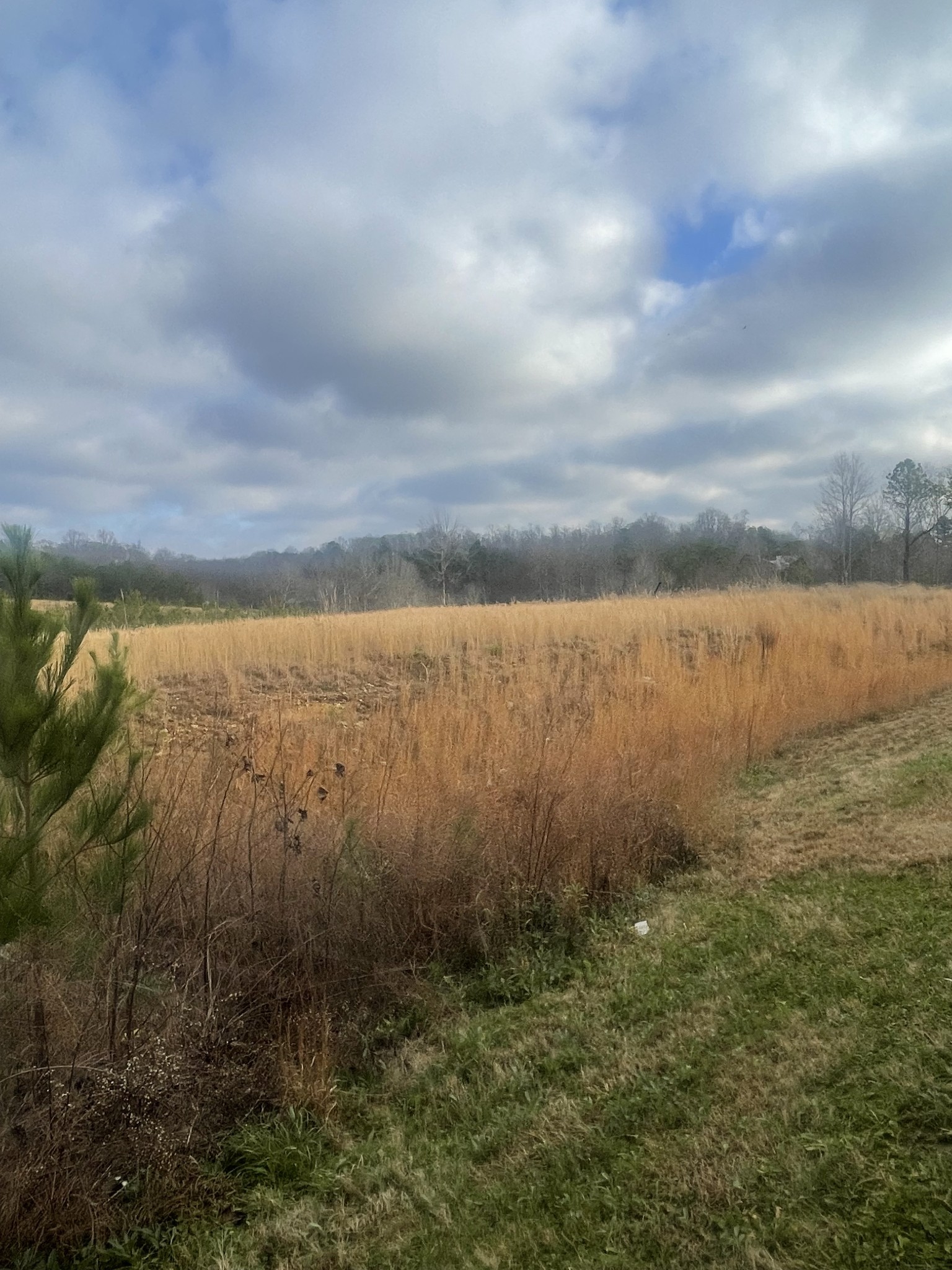 0 S Locust Avenue Property Photo 1