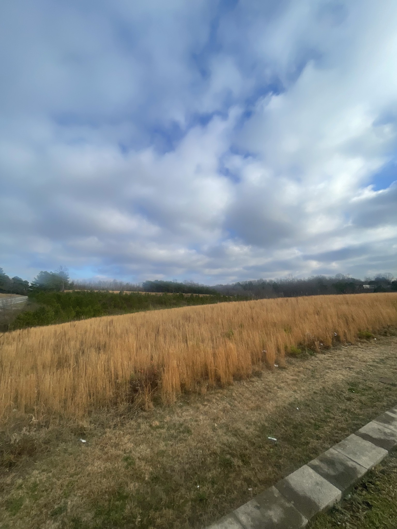 0 S Locust Avenue Property Photo 2