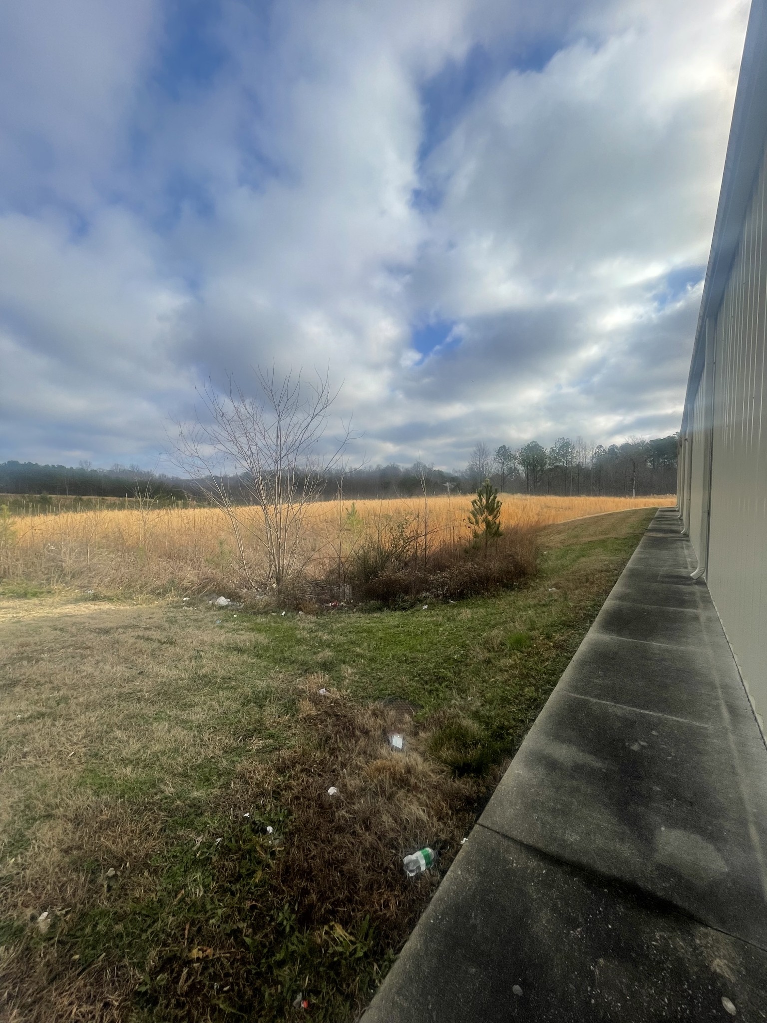 0 S Locust Avenue Property Photo 4