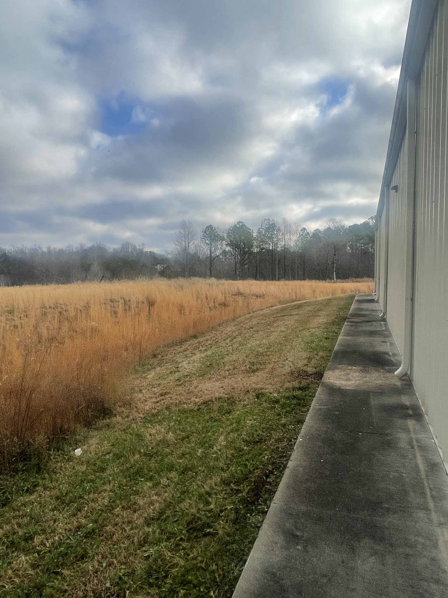 0 S Locust Avenue Property Photo 7