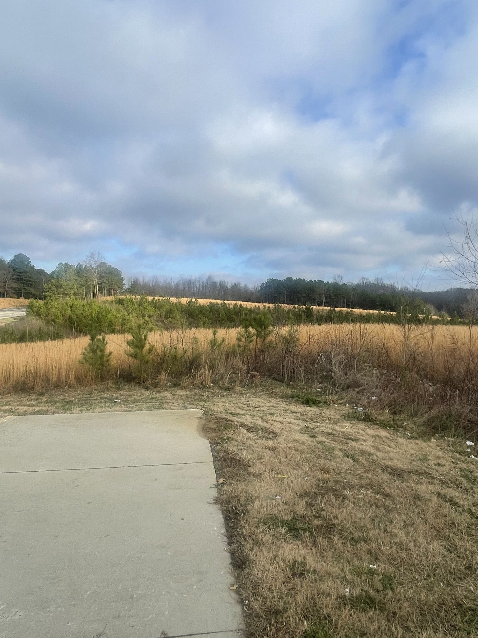 0 S Locust Avenue Property Photo 8