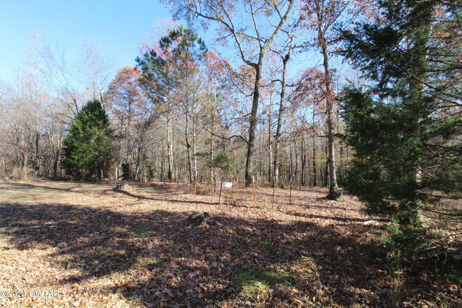 2170 Yuma Rd Property Photo 4