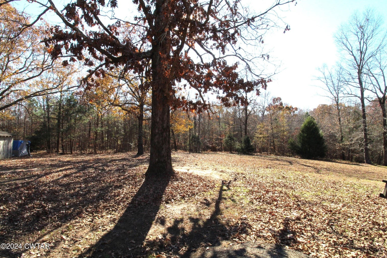 2170 Yuma Rd Property Photo 19