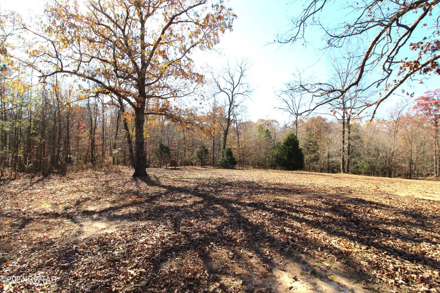 2170 Yuma Rd Property Photo 22