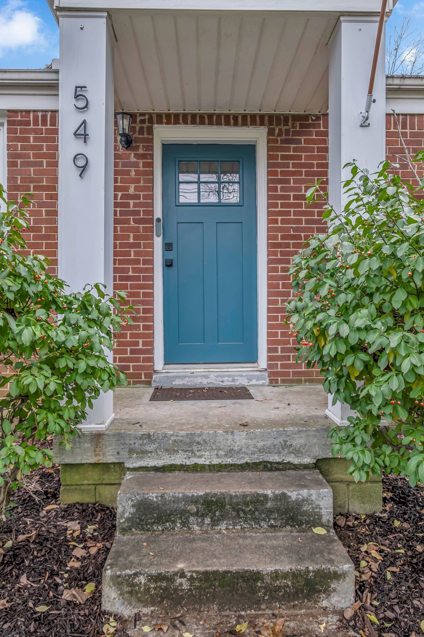 549 Elysian Fields Rd Property Photo 4