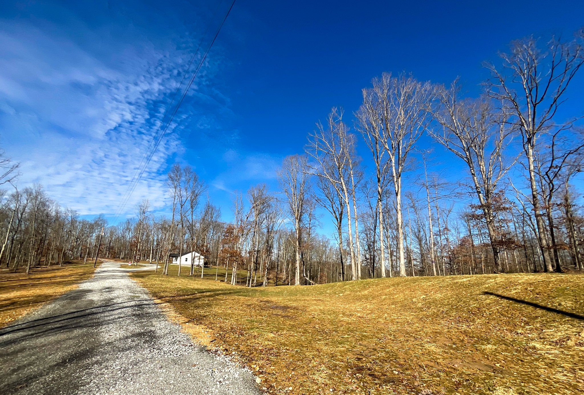 368 Rocky Top Lane Property Photo 4