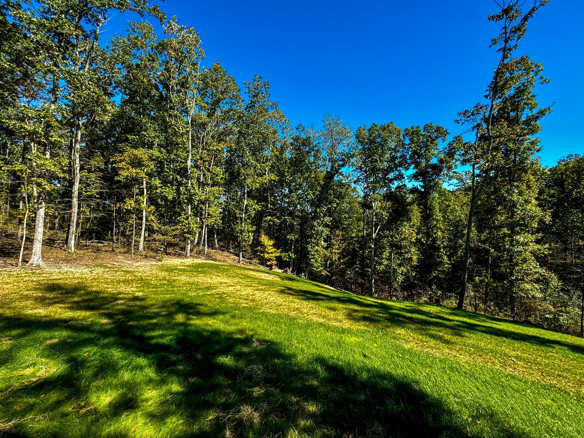 368 Rocky Top Lane Property Photo 44