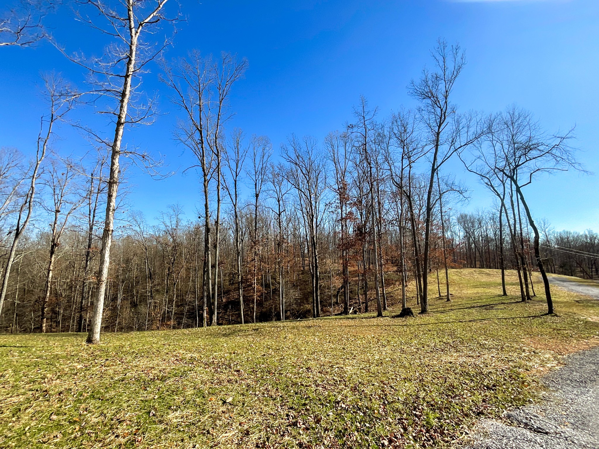 368 Rocky Top Lane Property Photo 51