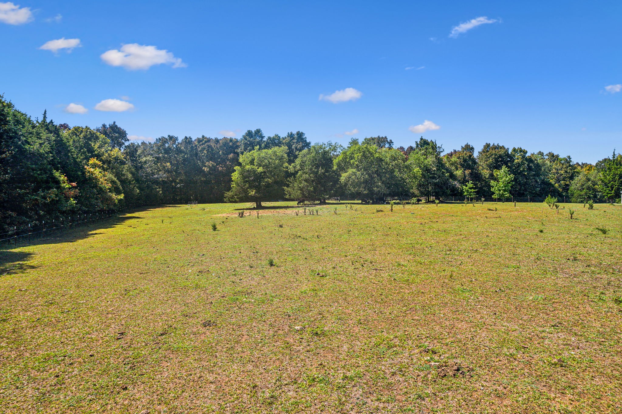 10795 Threet Rd Property Photo 35