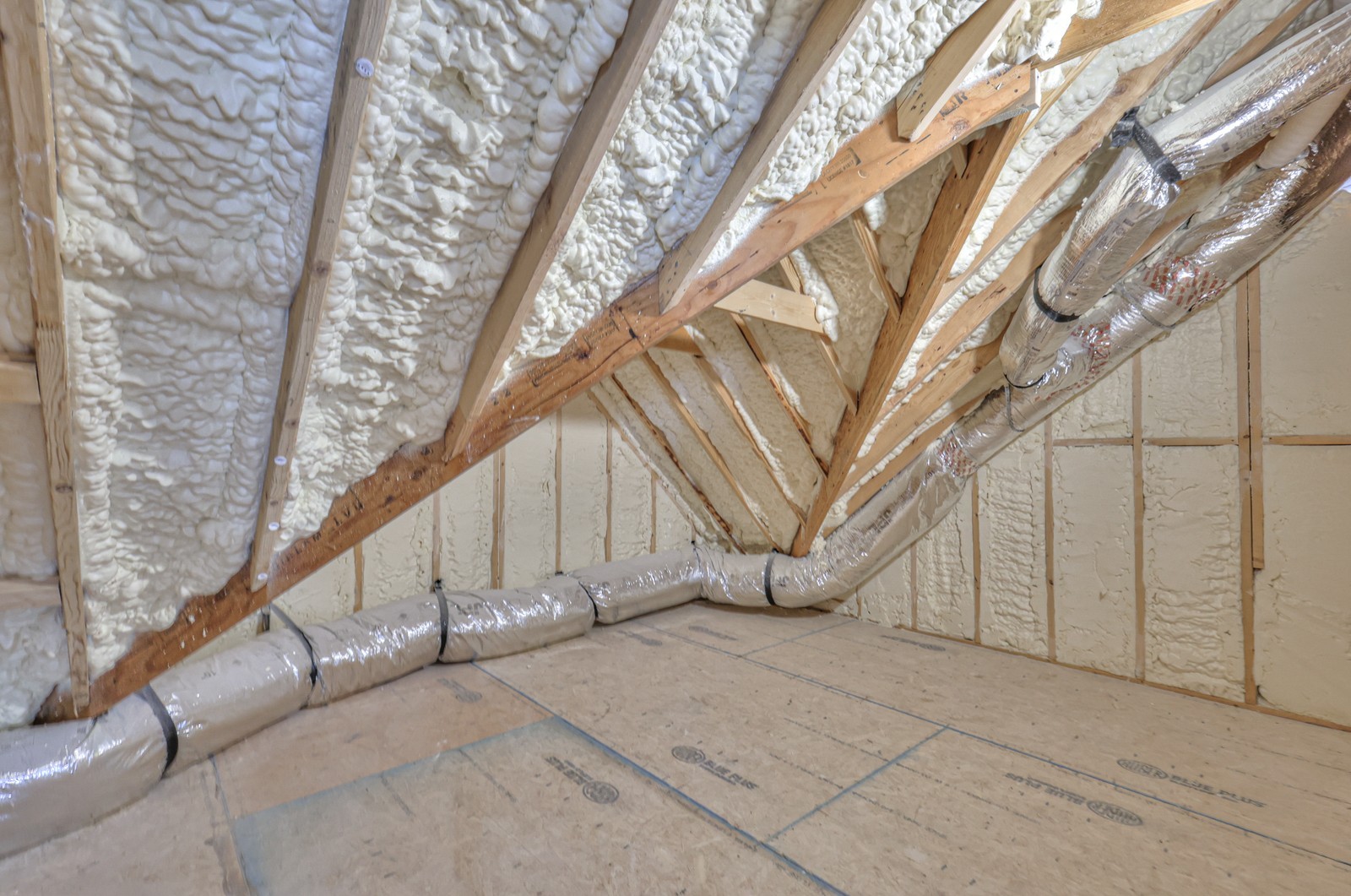 117 Forrest St Property Photo 49