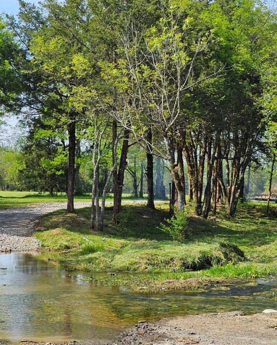 24 Ac Real Estate Listings Main Image