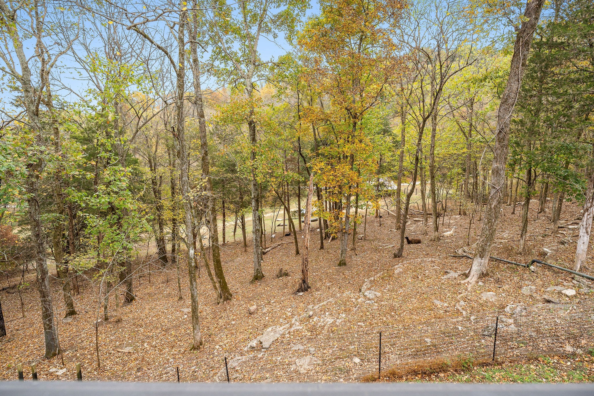 475 Spice Bush Dr Property Photo 36