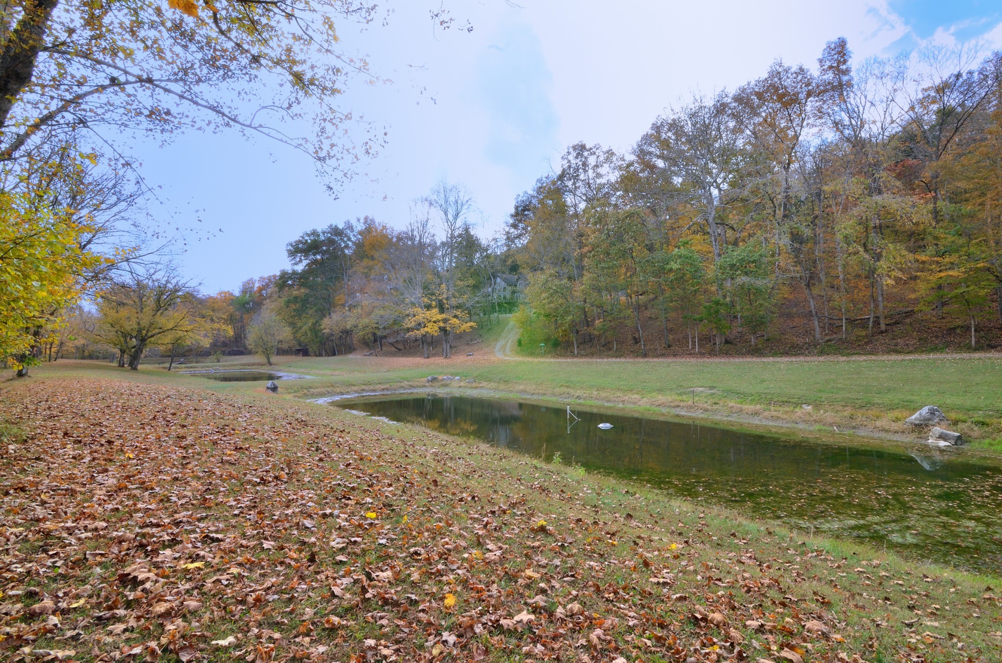 4045 Lake Rd Property Photo 17