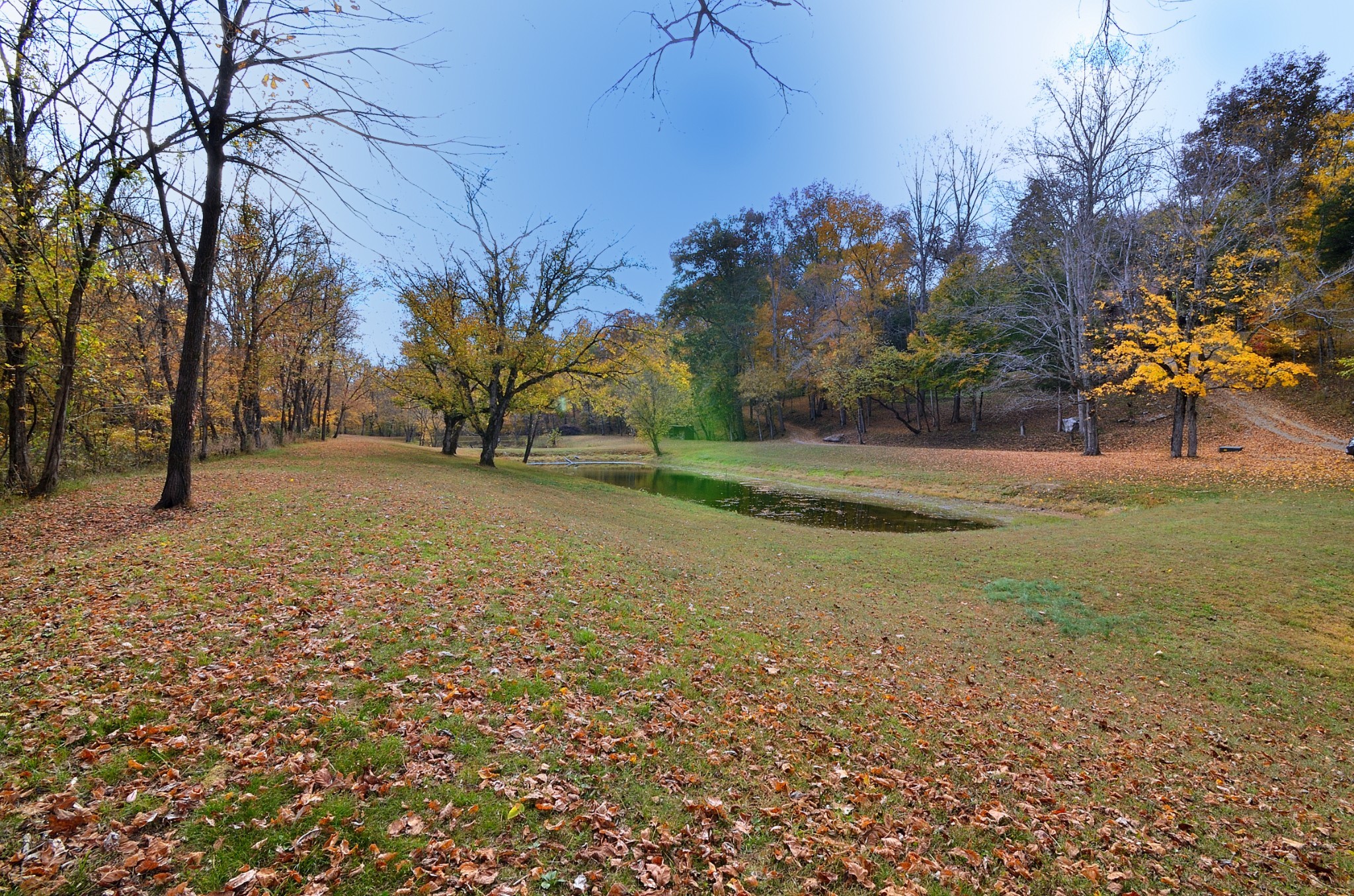 4045 Lake Rd Property Photo 19