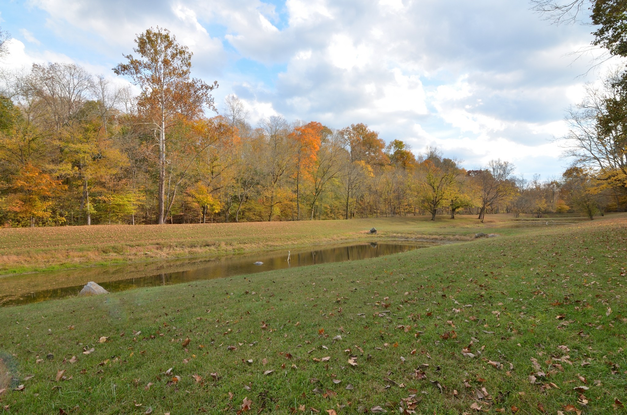 4045 Lake Rd Property Photo 64