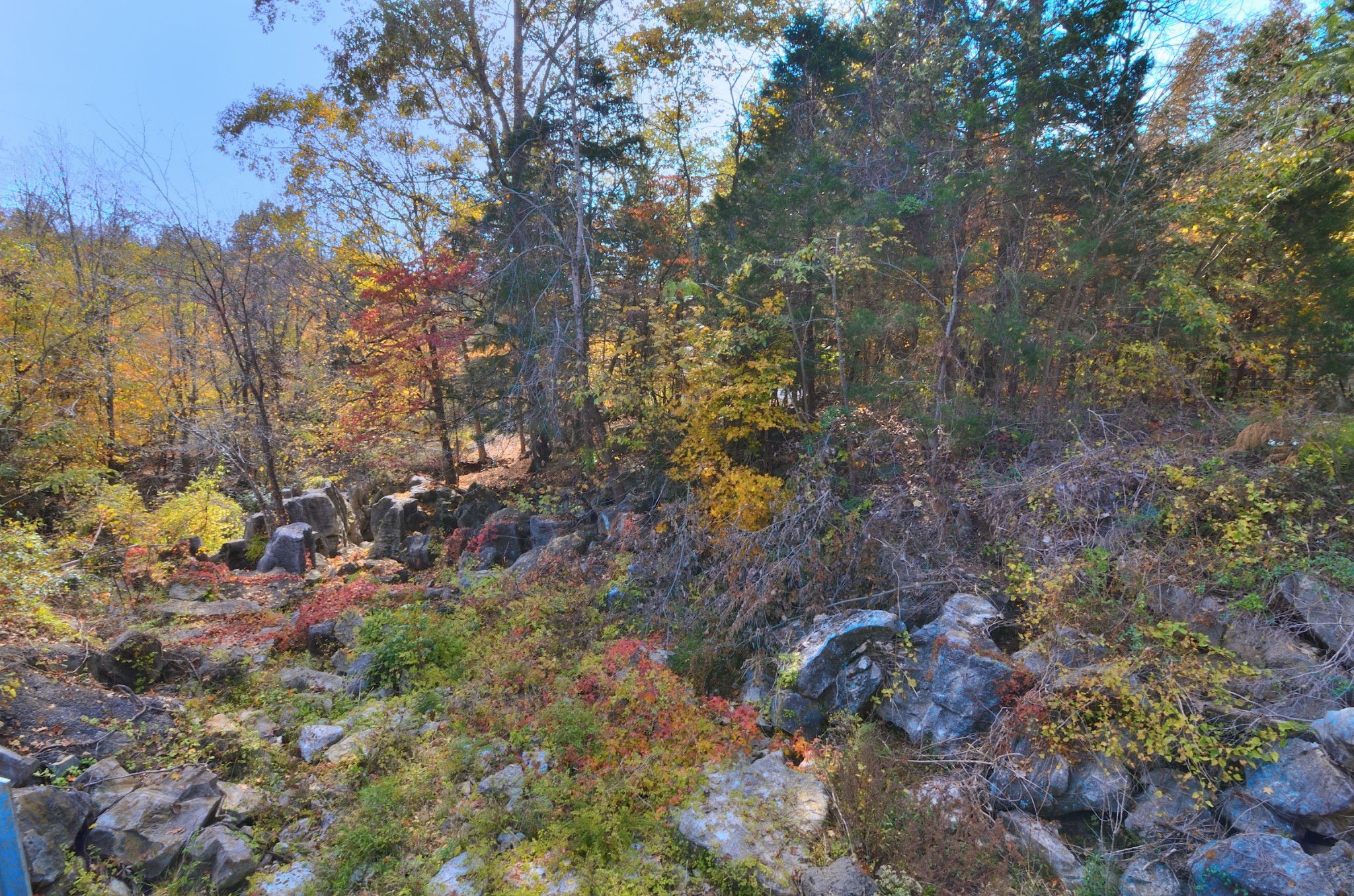 4045 Lake Rd Property Photo 68