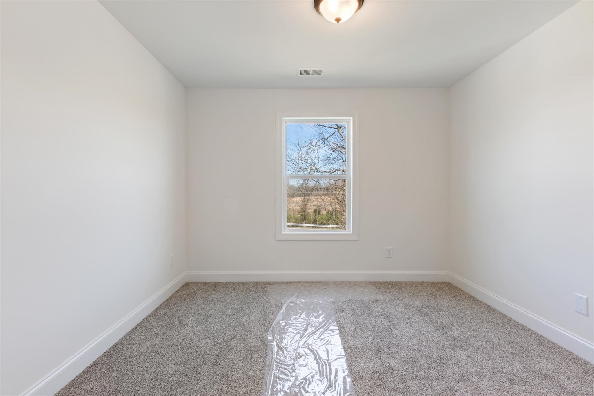 163 Odie Ray St Property Photo 10