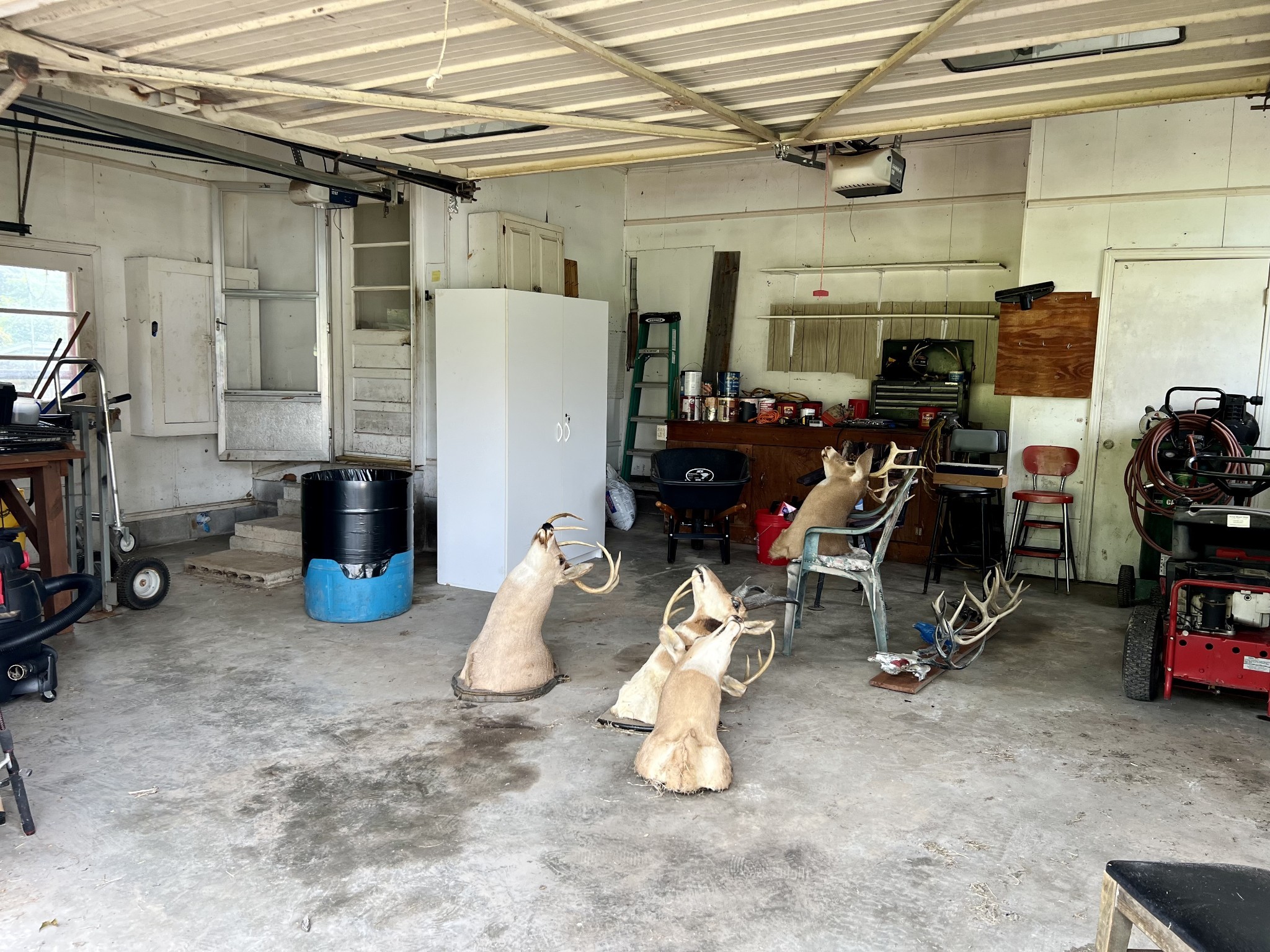 250 Chipman Rd Property Photo 15