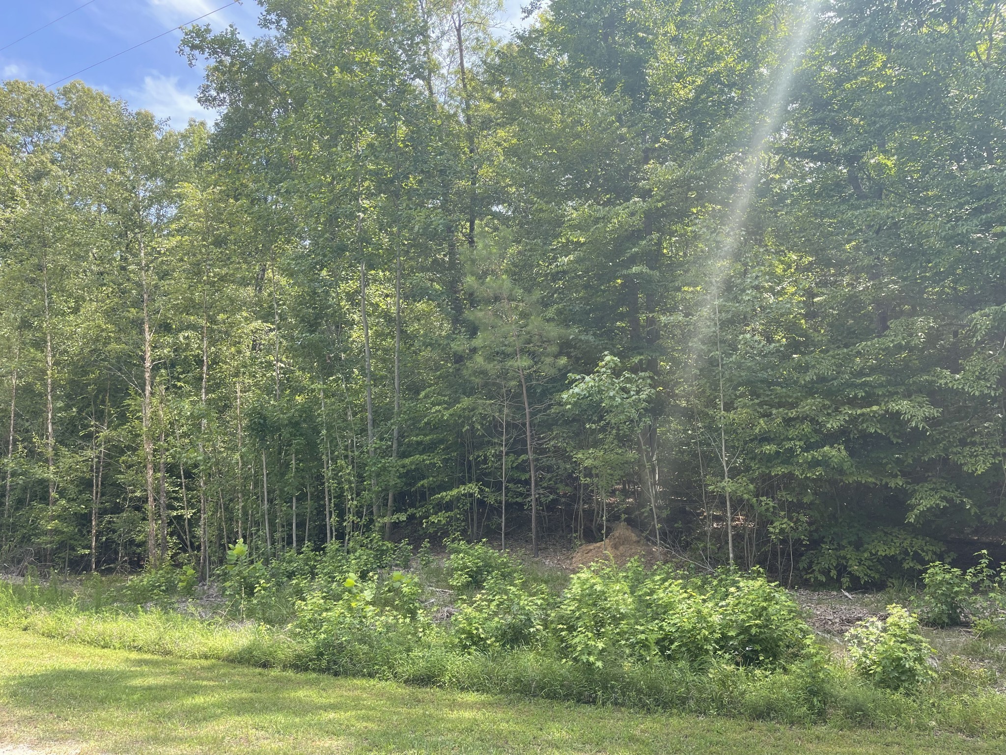 1023 Strike King Dr Property Photo 3