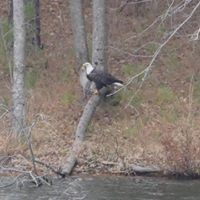 1023 Strike King Dr Property Photo 8