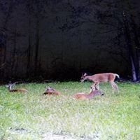 1023 Strike King Dr Property Photo 12