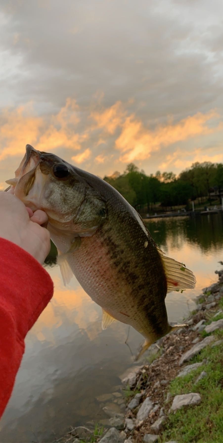 1023 Strike King Dr Property Photo 18