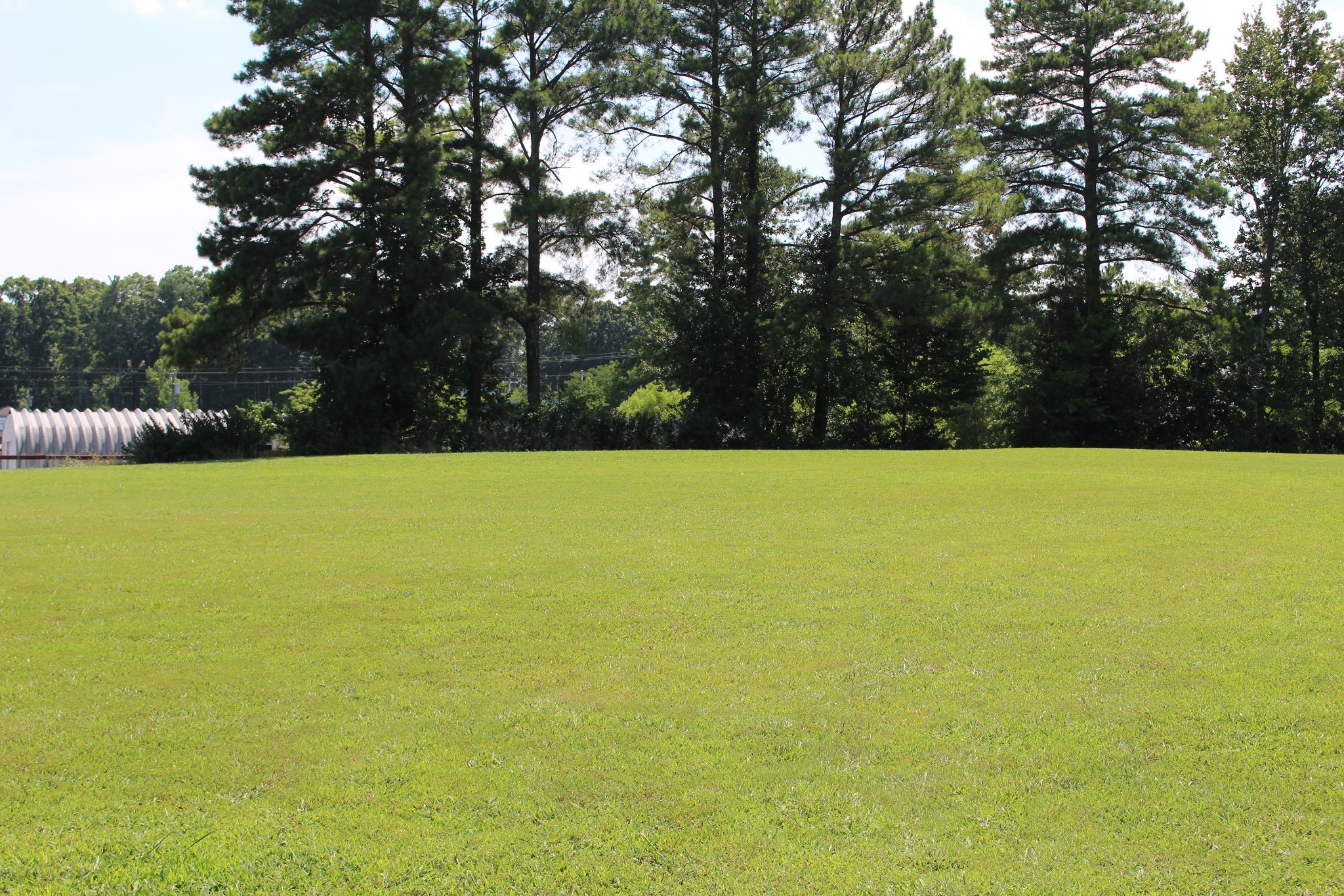 155 Expressway Dr Property Photo 12