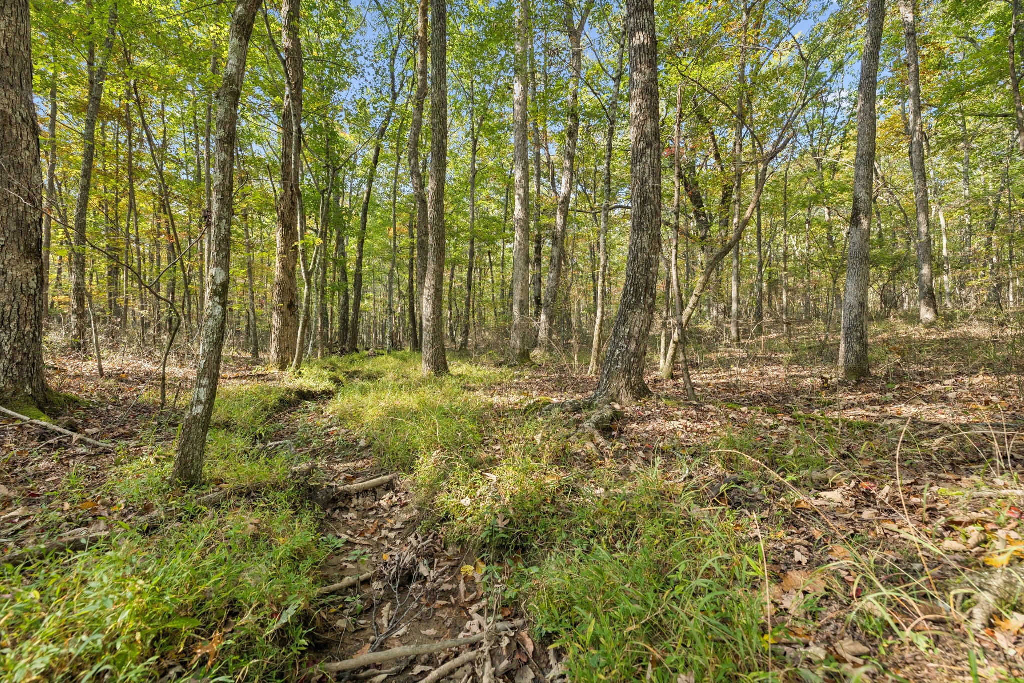 0 Timberwood Trace Property Photo 1