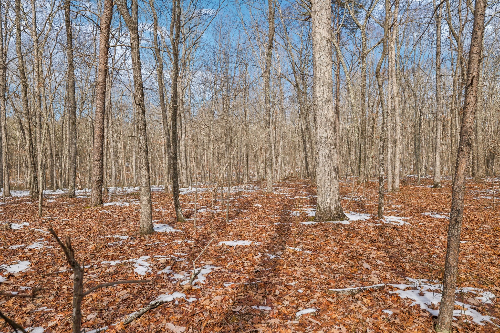 0 Timberwood Trace Property Photo 8