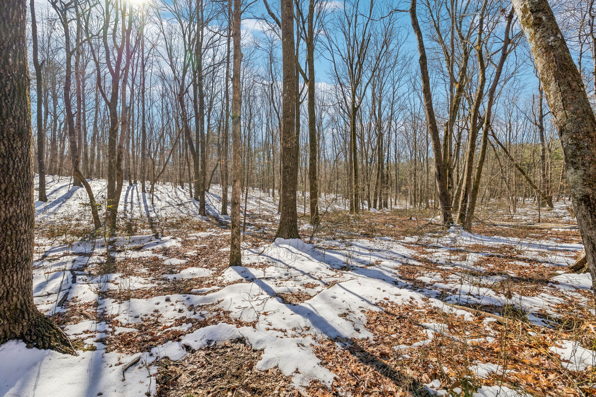 0 Timberwood Trace Property Photo 9