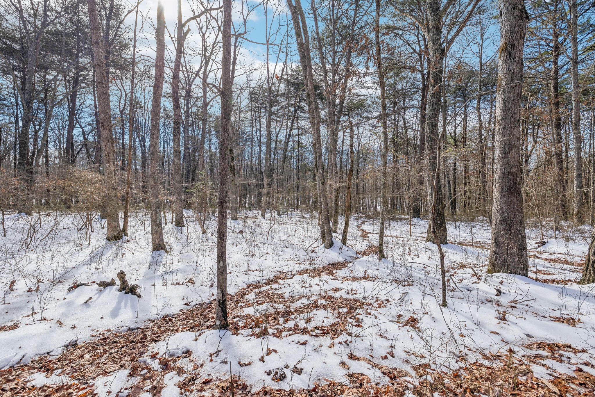 0 Timberwood Trace Property Photo 14