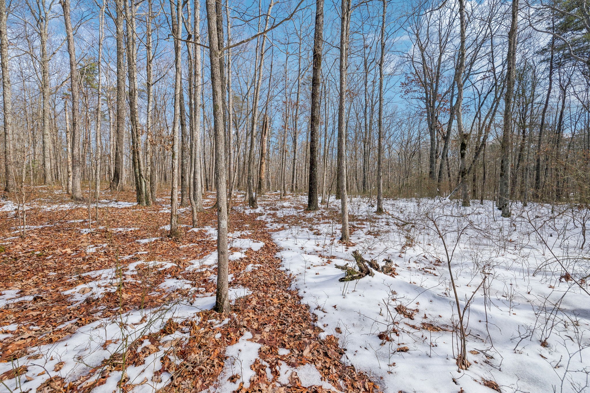 0 Timberwood Trace Property Photo 15
