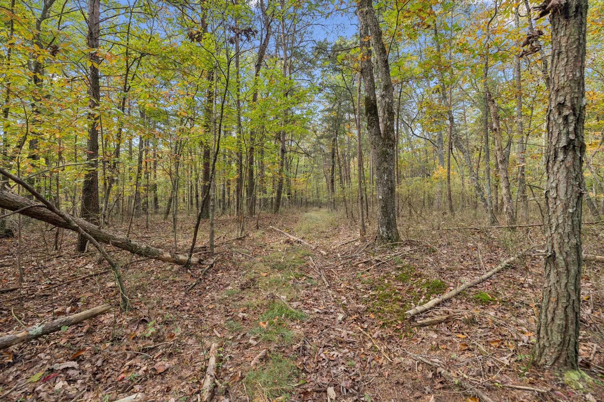 0 Timberwood Trace Property Photo 18