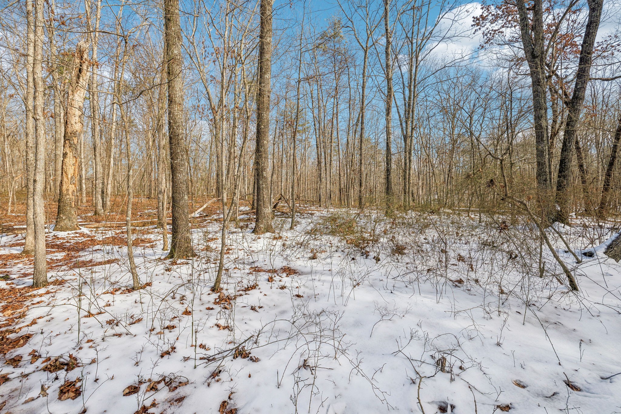 0 Timberwood Trace Property Photo 19