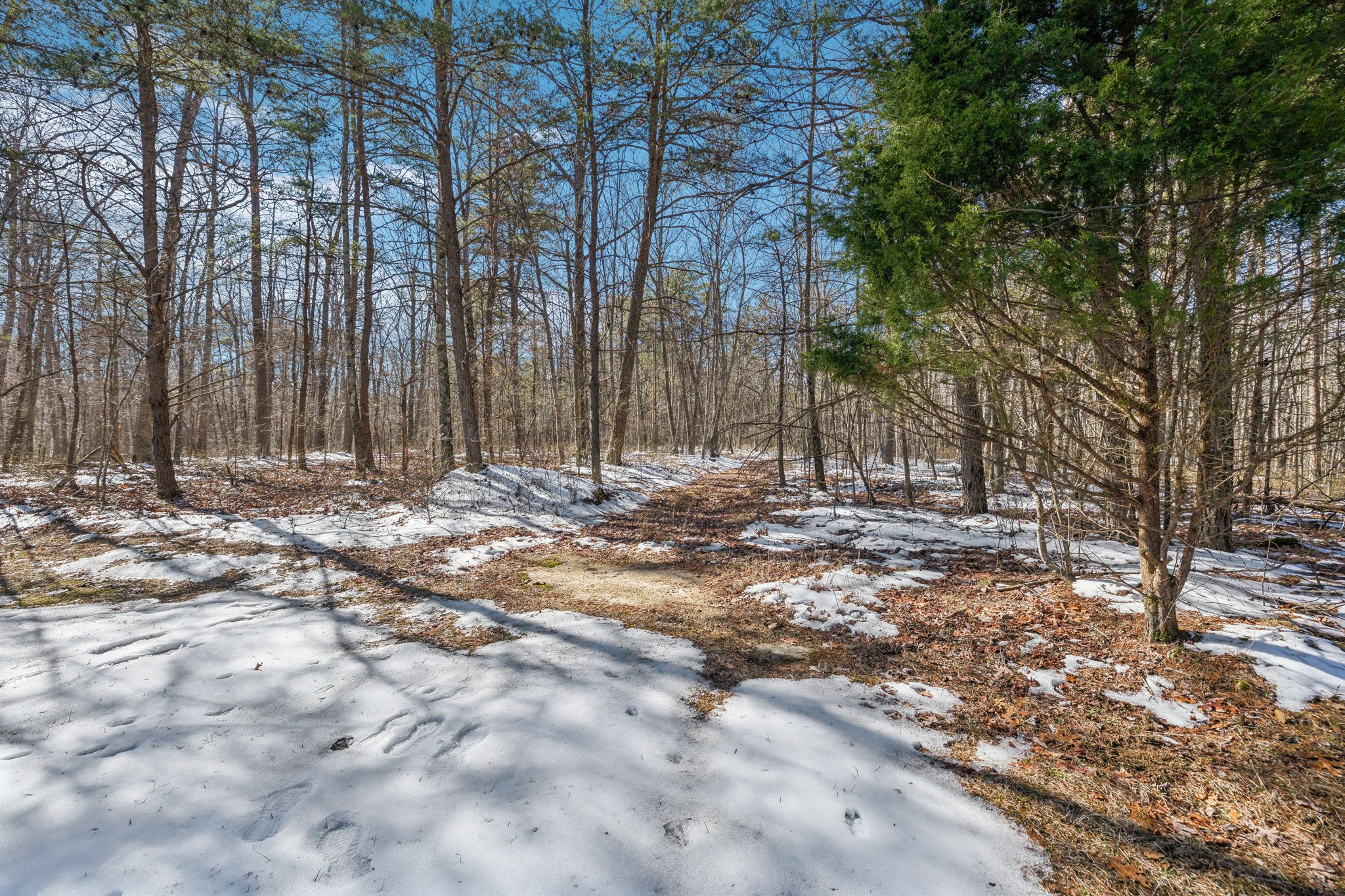 0 Timberwood Trace Property Photo 30