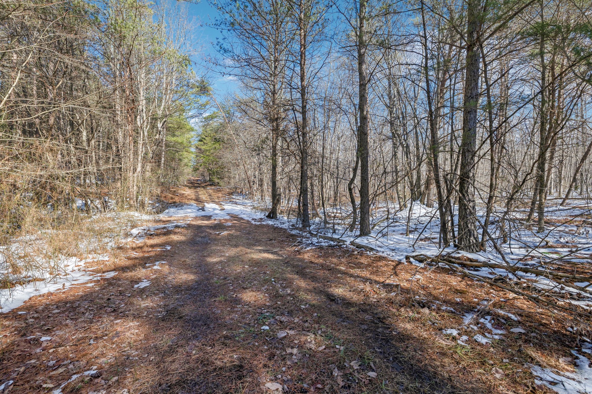 0 Timberwood Trace Property Photo 31
