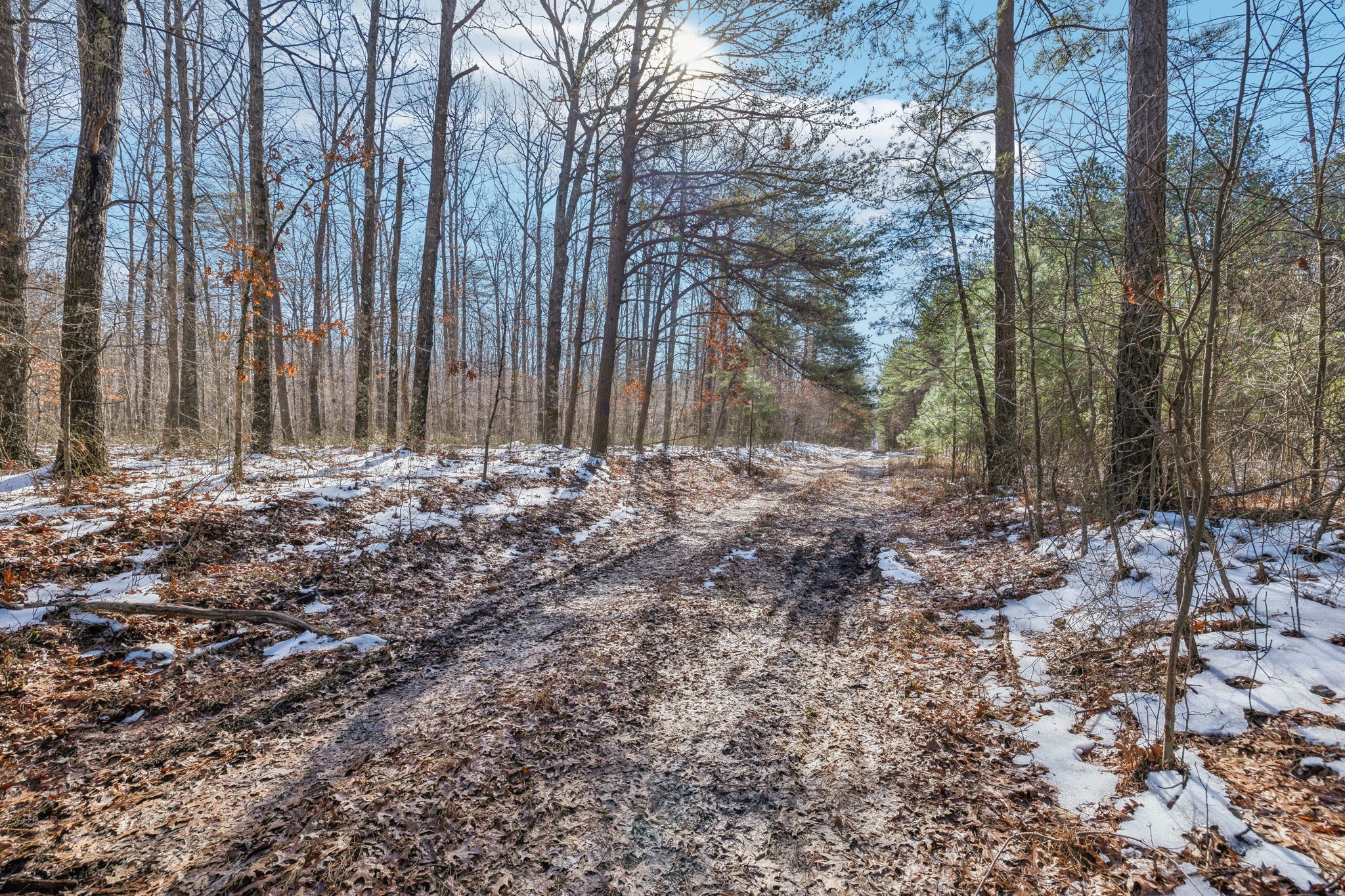 0 Timberwood Trace Property Photo 32