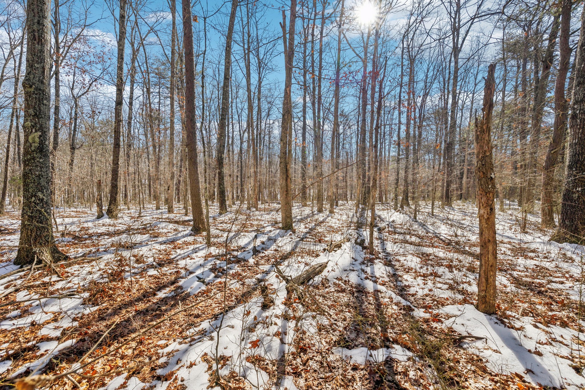 0 Timberwood Trace Property Photo 33