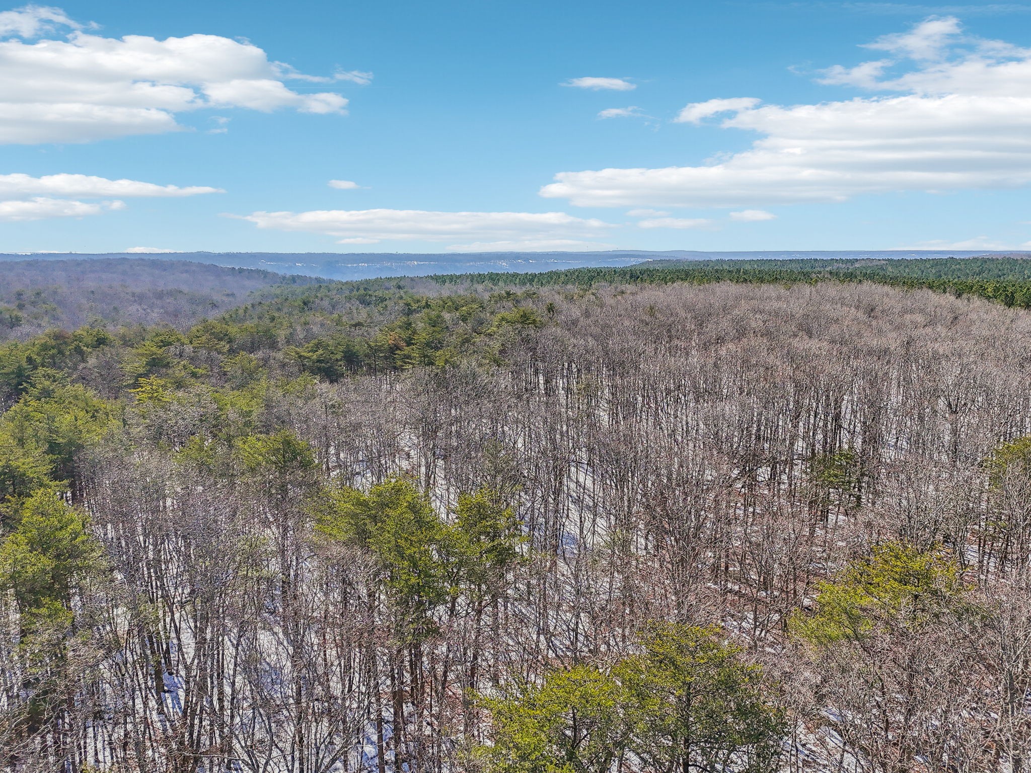 0 Timberwood Trace Property Photo 38