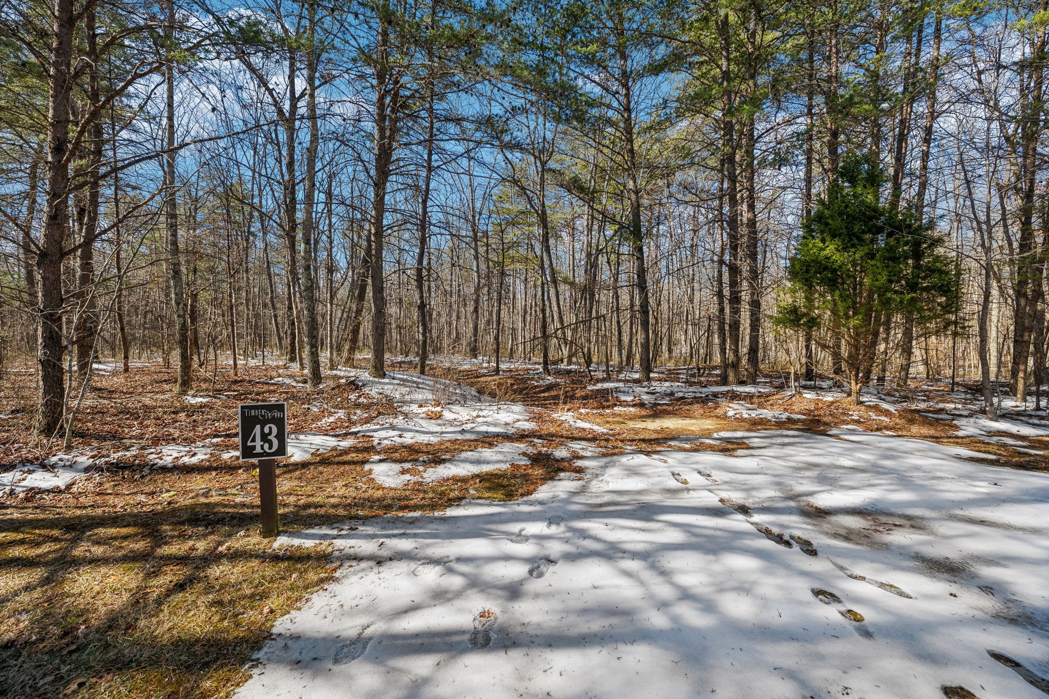 0 Timberwood Trace Property Photo 42