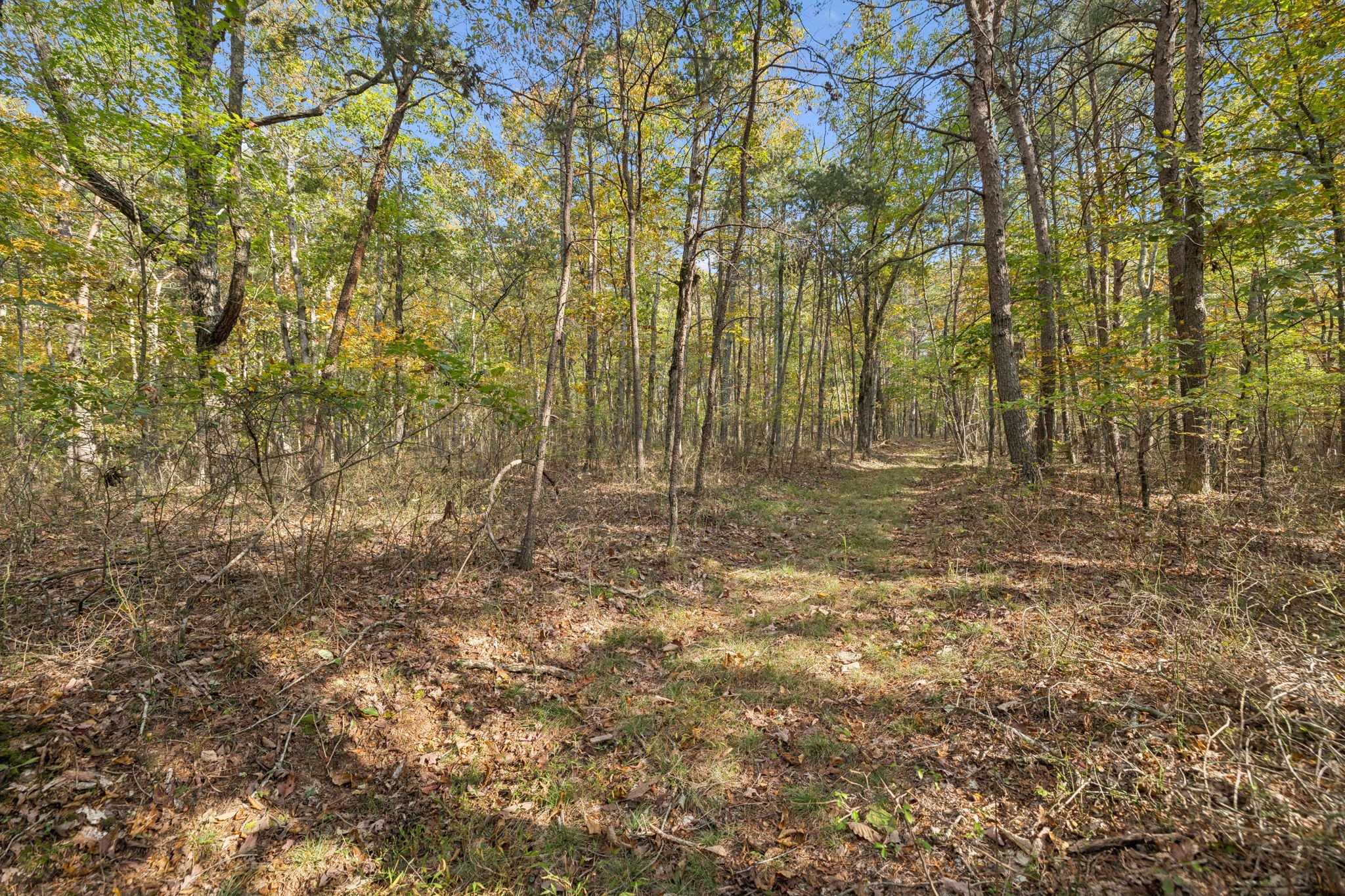 0 Timberwood Trace Property Photo 48