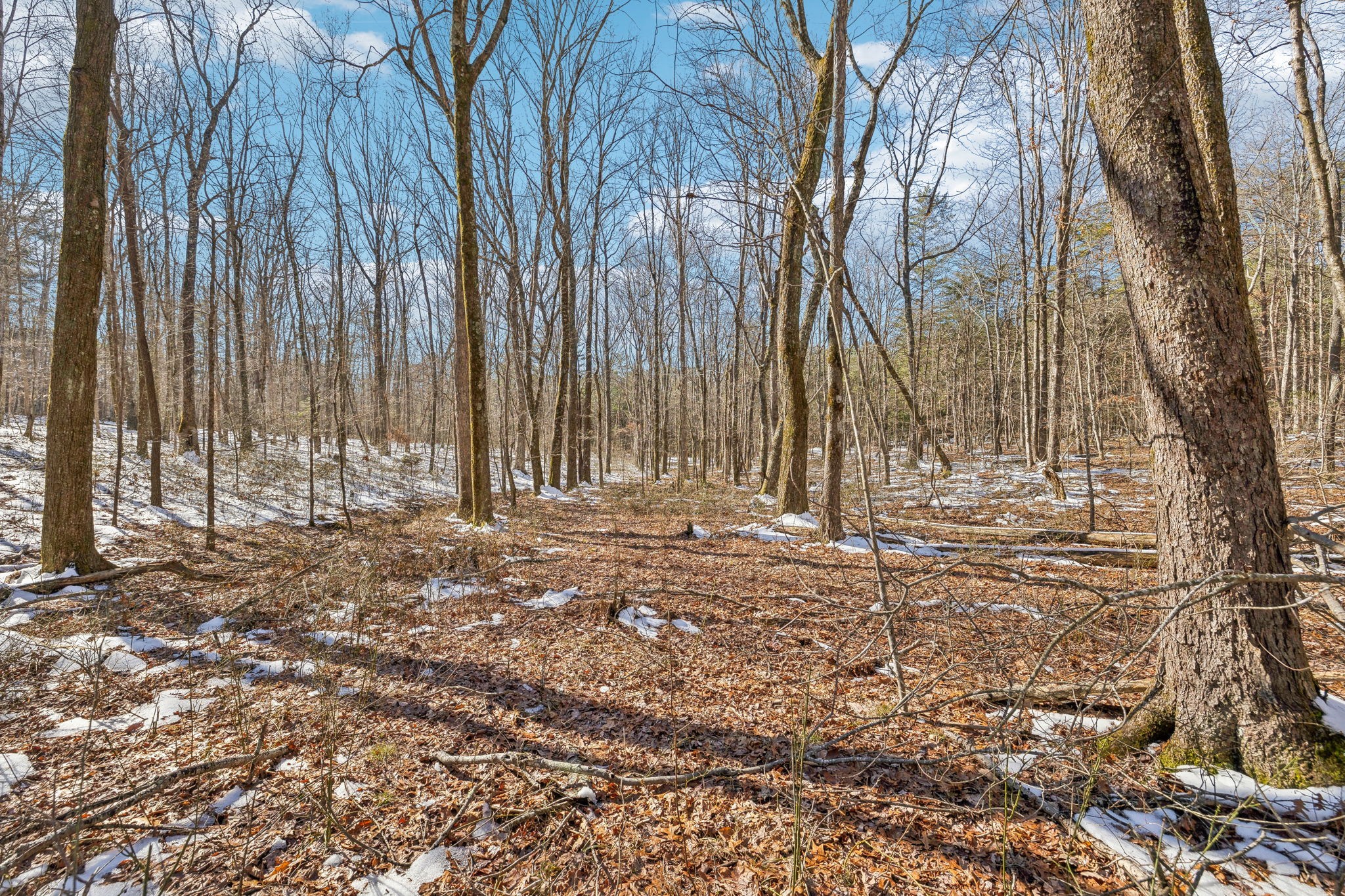 0 Timberwood Trace Property Photo 50