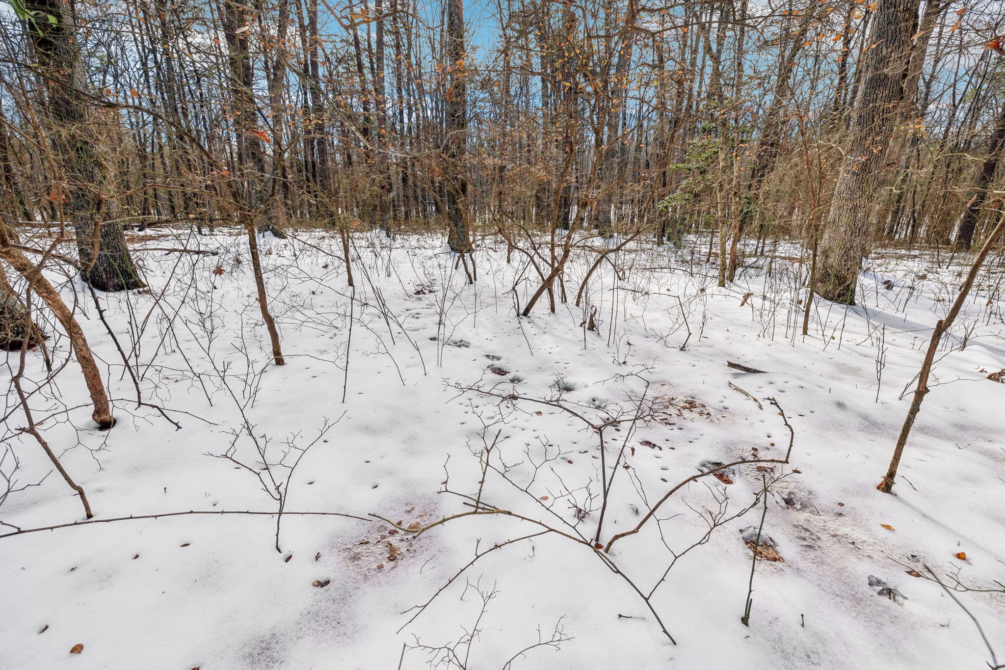 0 Timberwood Trace Property Photo 57