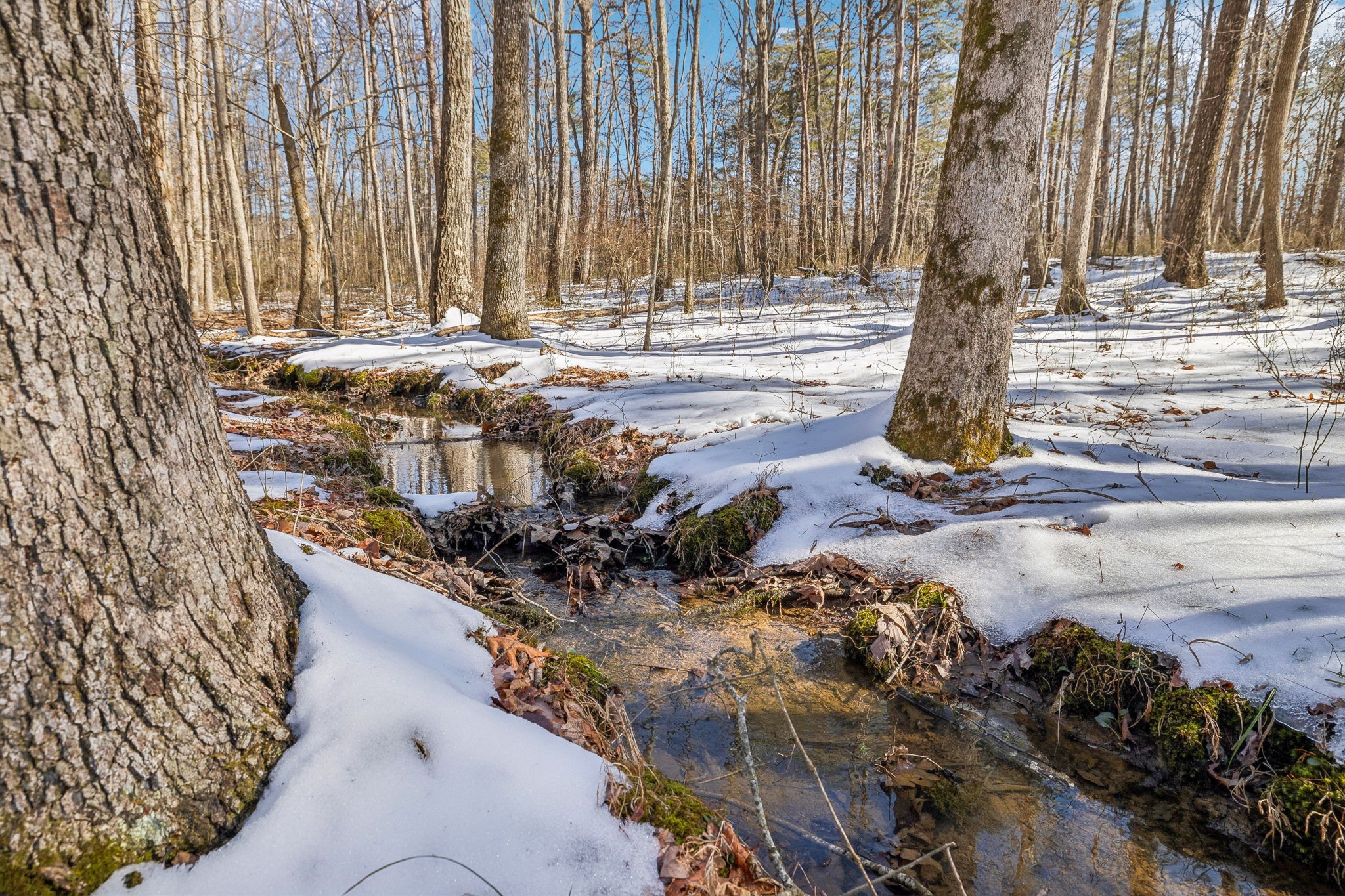 0 Timberwood Trace Property Photo 63