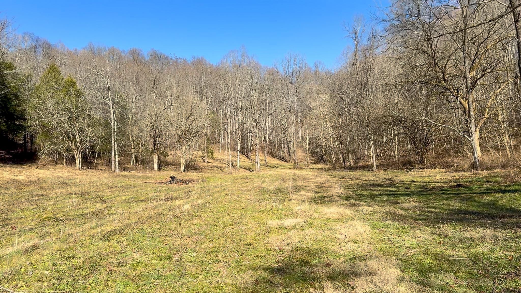 54 Acres! Real Estate Listings Main Image