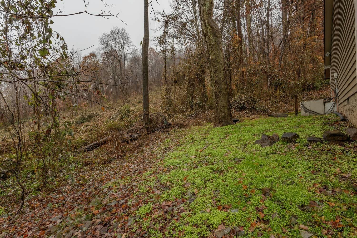 6531 Old Dayton Pike Property Photo 31