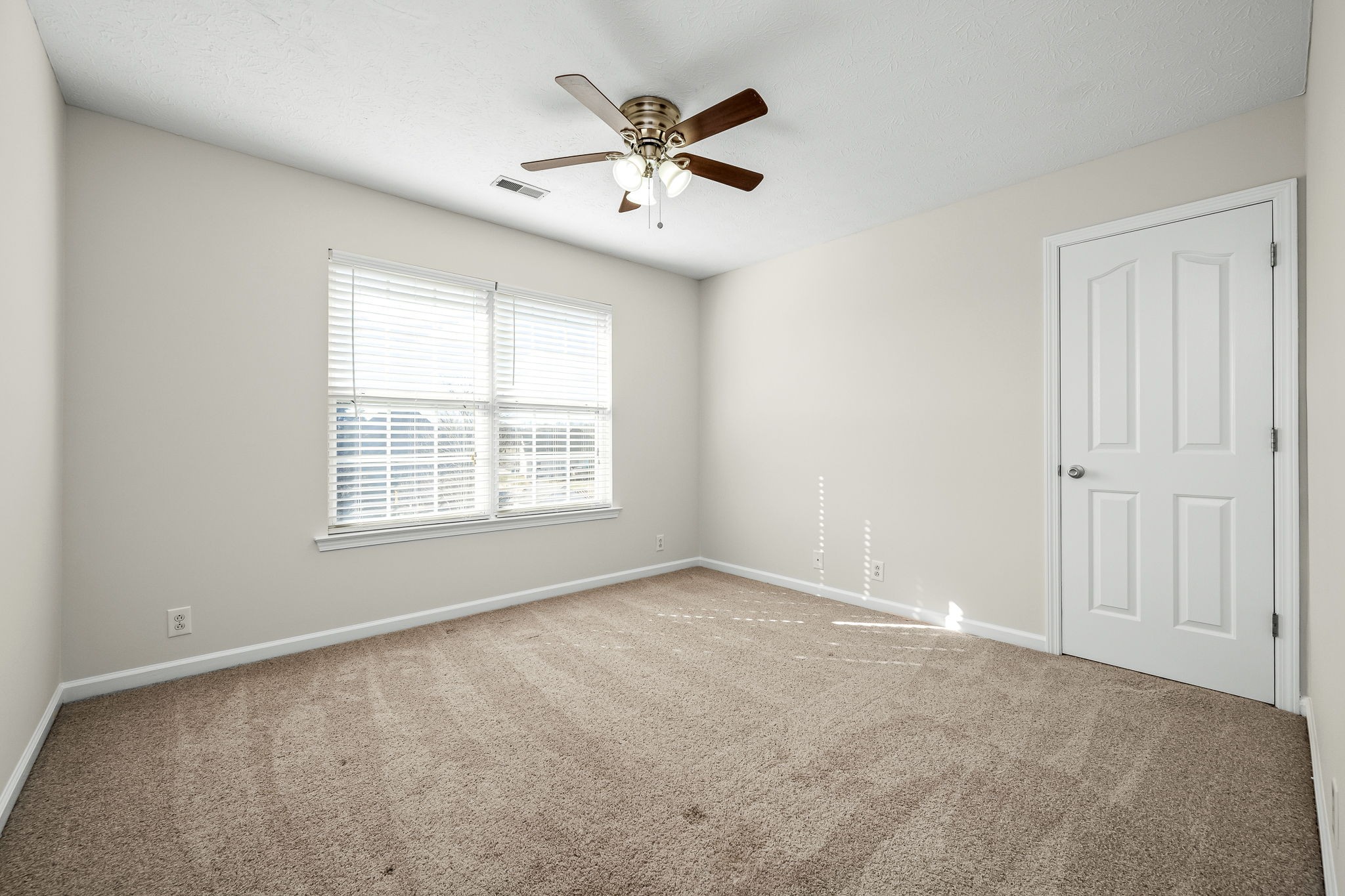 113 Limerick St Property Photo 25