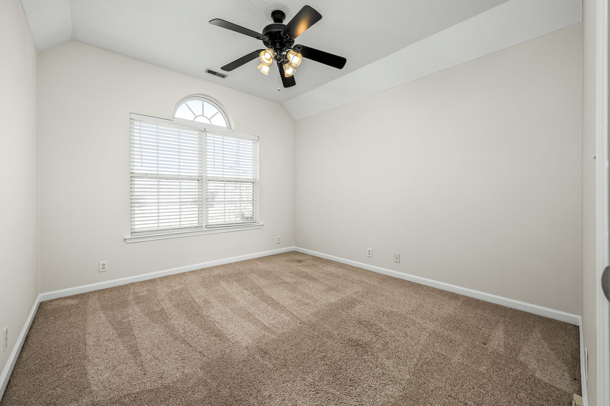 113 Limerick St Property Photo 26