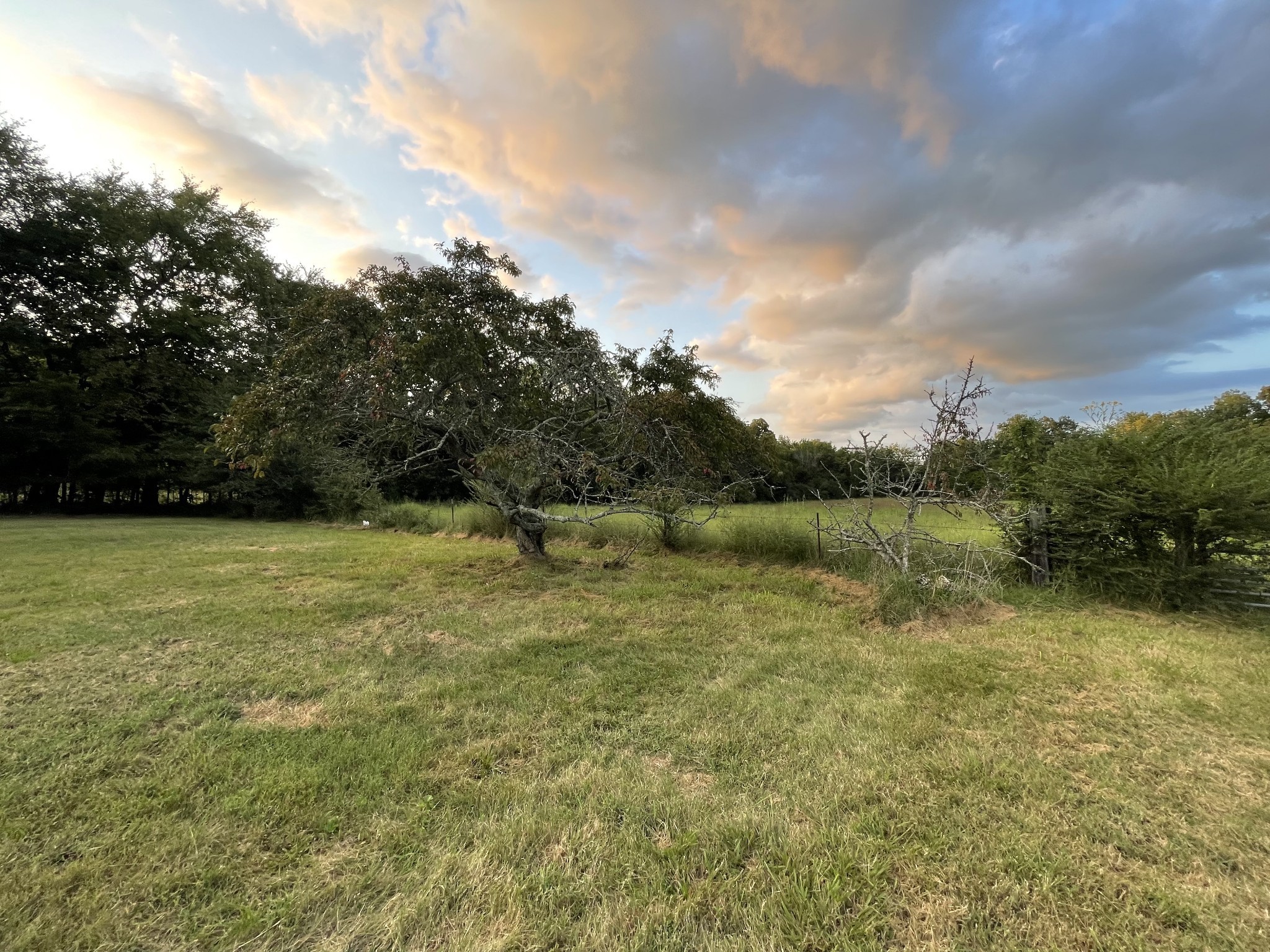 4534 Long Ln Property Photo 3