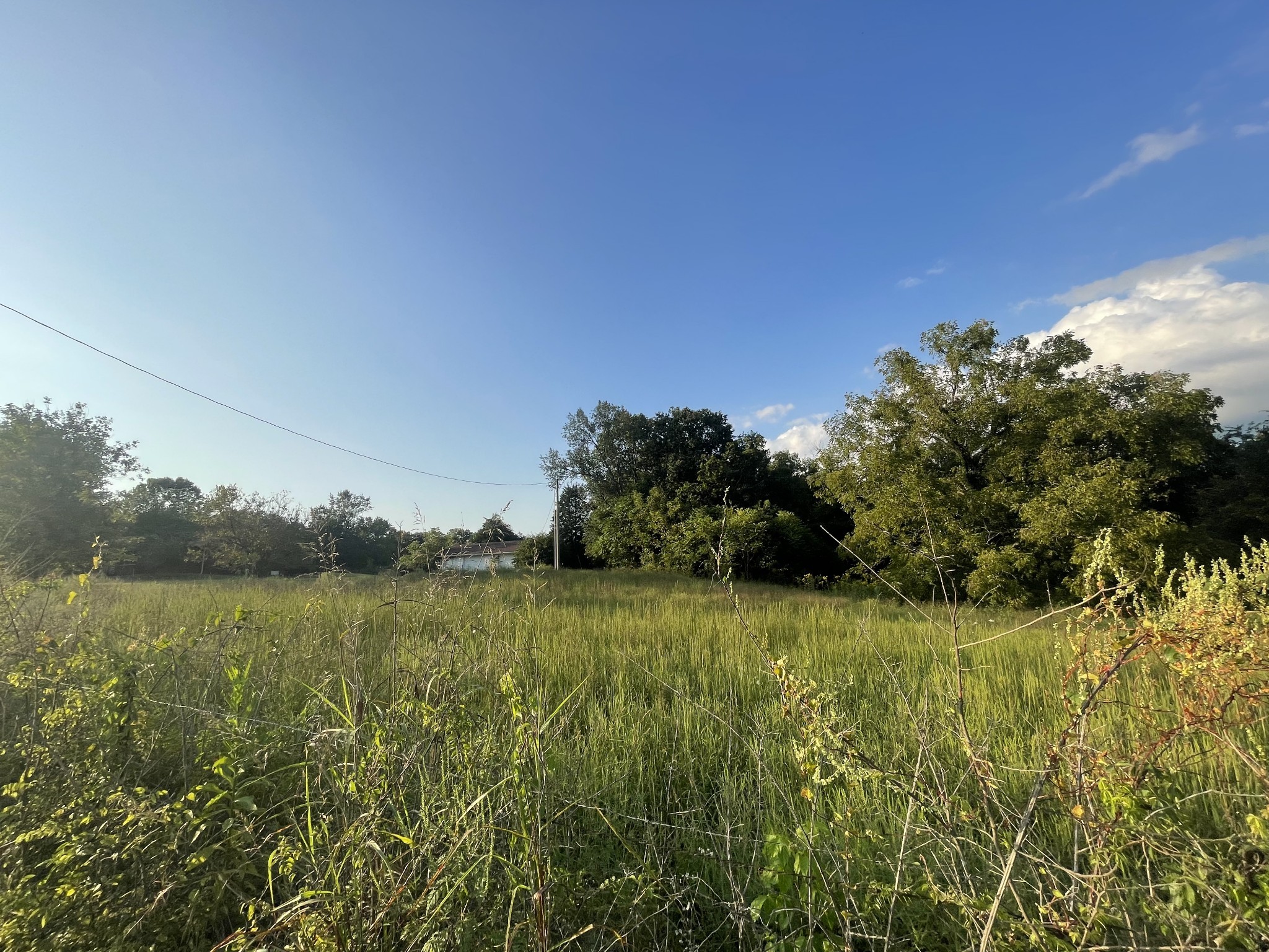 4534 Long Ln Property Photo 9